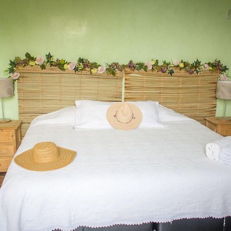 7 San Fernando, Bacalar Villa Jimmy 외부 사진